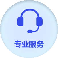 专业服务
